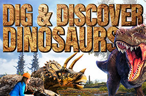 Dig & Discover Dinosaurs